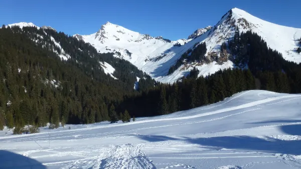 Vue depuis le chalet