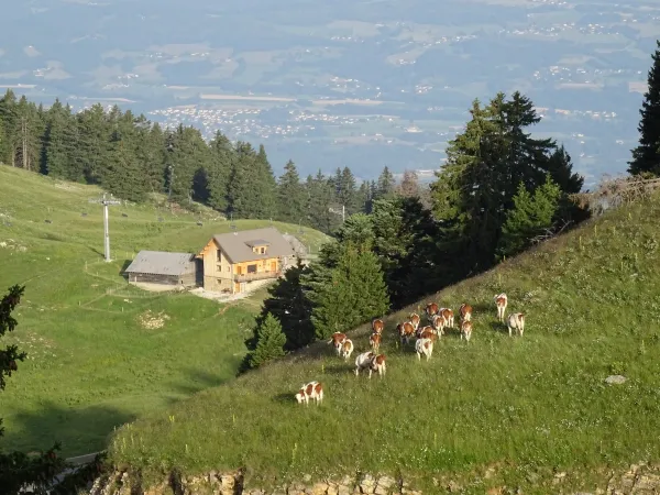 Chalet de l'Abbaye