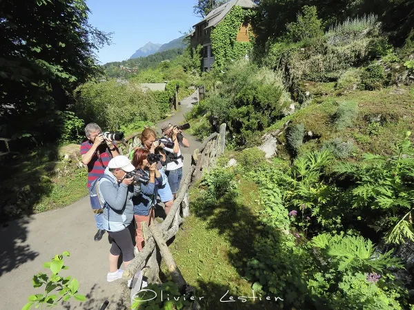 Haut-Giffre Photographie
