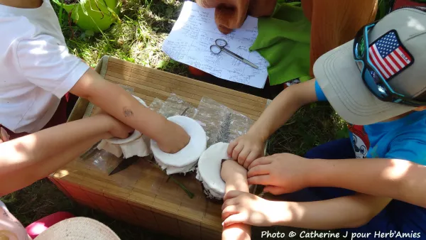 Animations plantes sauvages