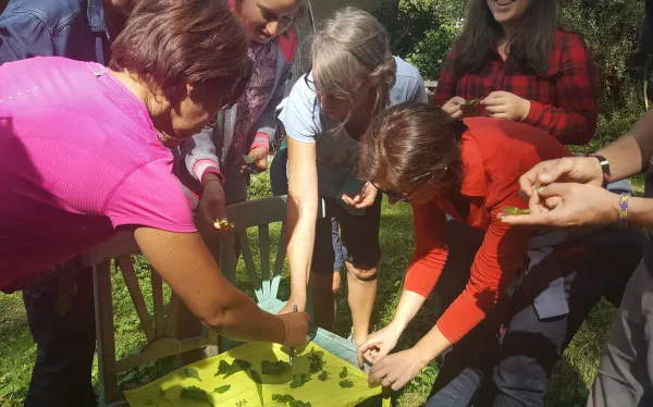 Animations plantes sauvages