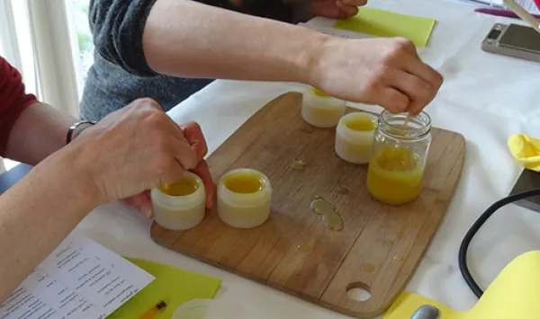 Animations plantes sauvages