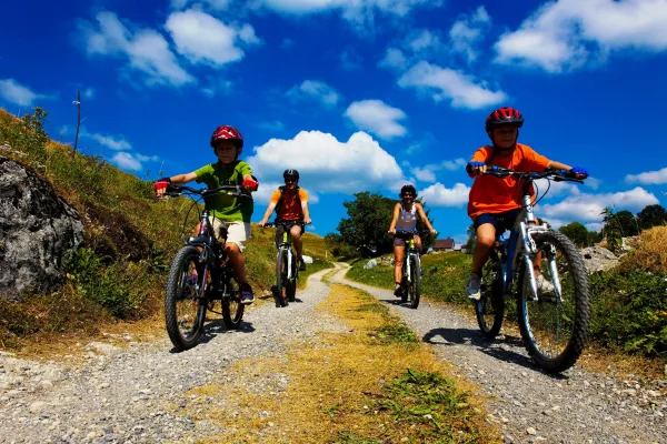 Location de VTT - Foyer des Moises