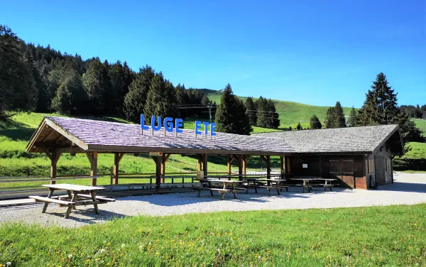 Luge d'été