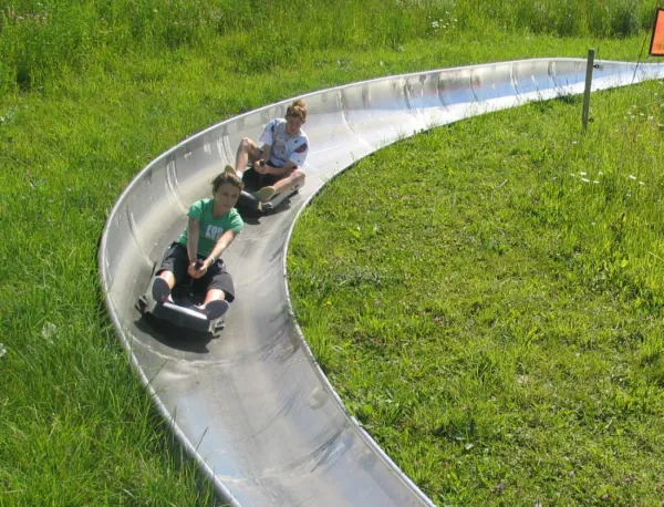 Luge d'été
