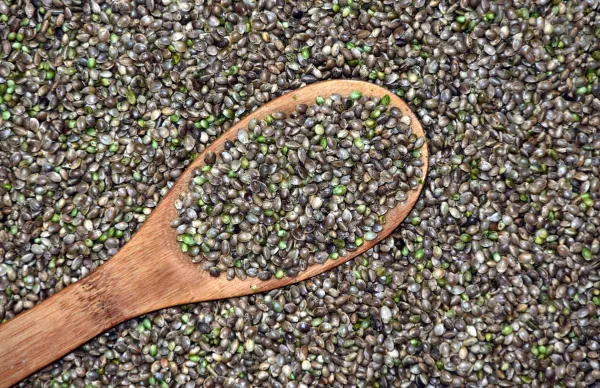 Magasin Bio : L'Herbe Sauvage