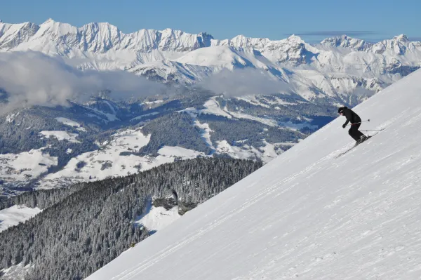 ski
