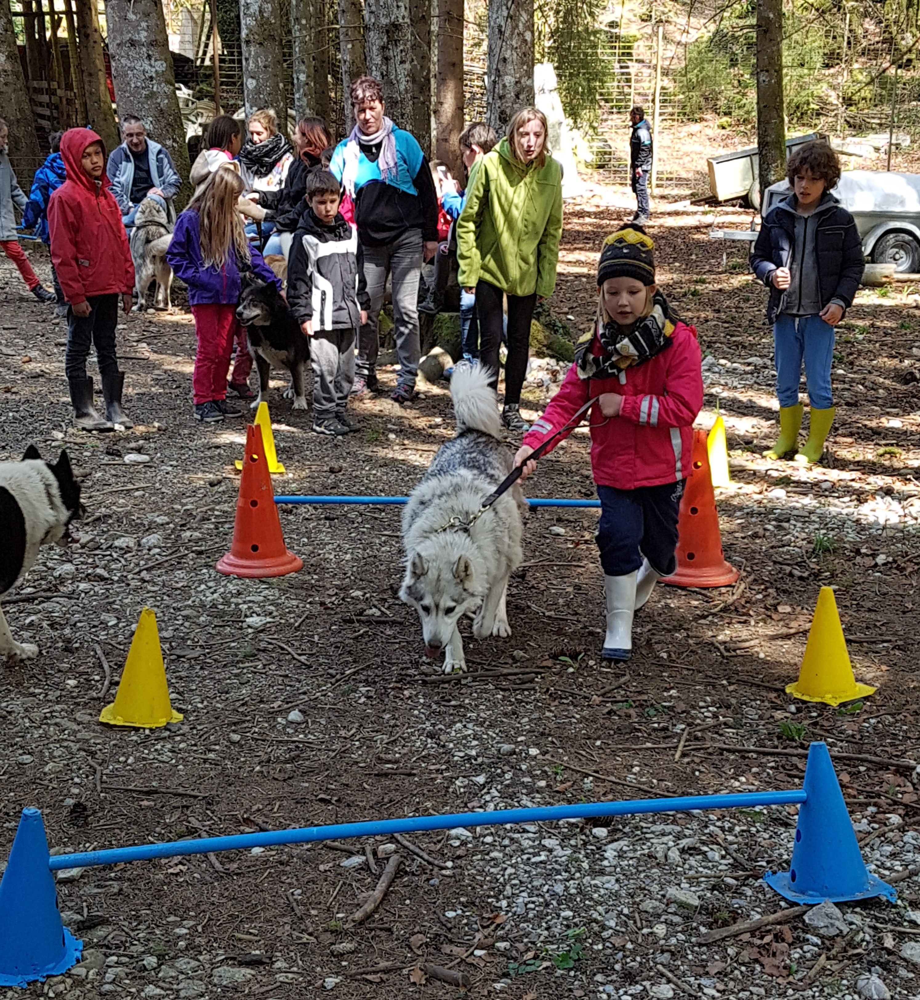 Les Ateliers du Parc Nordique - Agilty