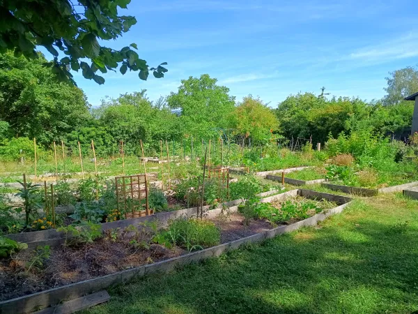 Atelier jardin partagé - Fête du Sol Vivant