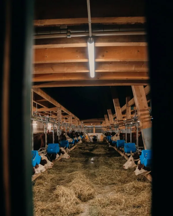 Ferme de l'Auboury