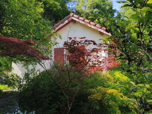 Maison vue depuis le jardin