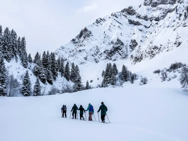 Randonnée collective en raquettes avec Monts et Merveilles