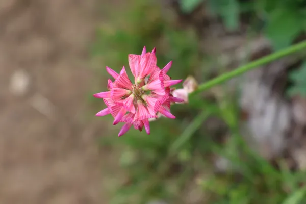 Sortie biodiversité
