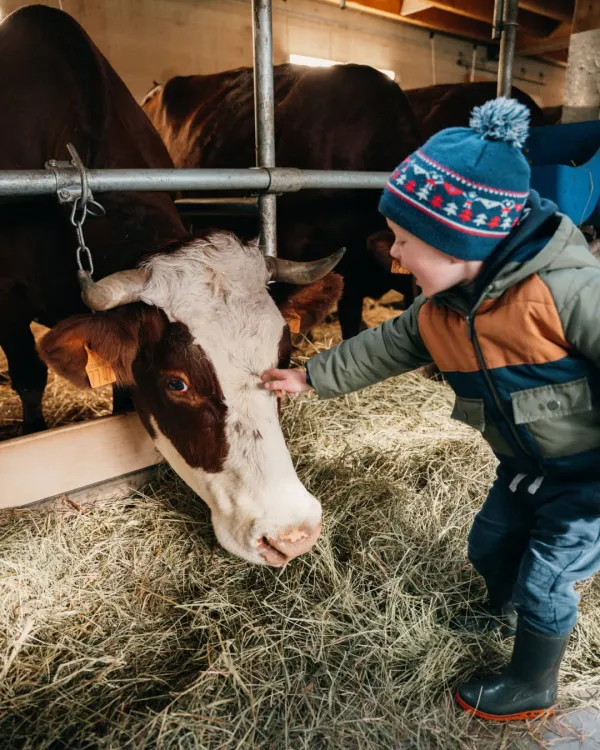 Visite de la ferme de l'Auboury