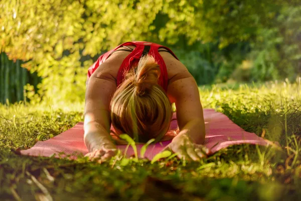 Yoga de l'énergie (niveau avancé)