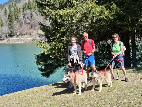 Canirandonnée avec les chiens nordiques (ados et adultes)