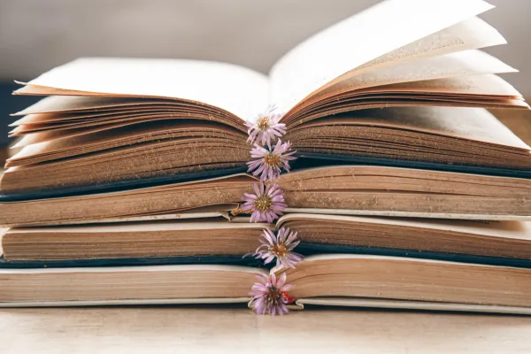 Dédicaces - rencontres d'auteurs à la bibliothèque-ludothèque Le Millefeuille