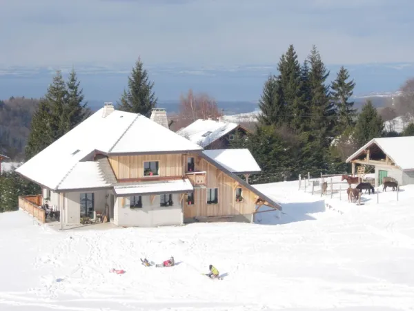 Gîtes