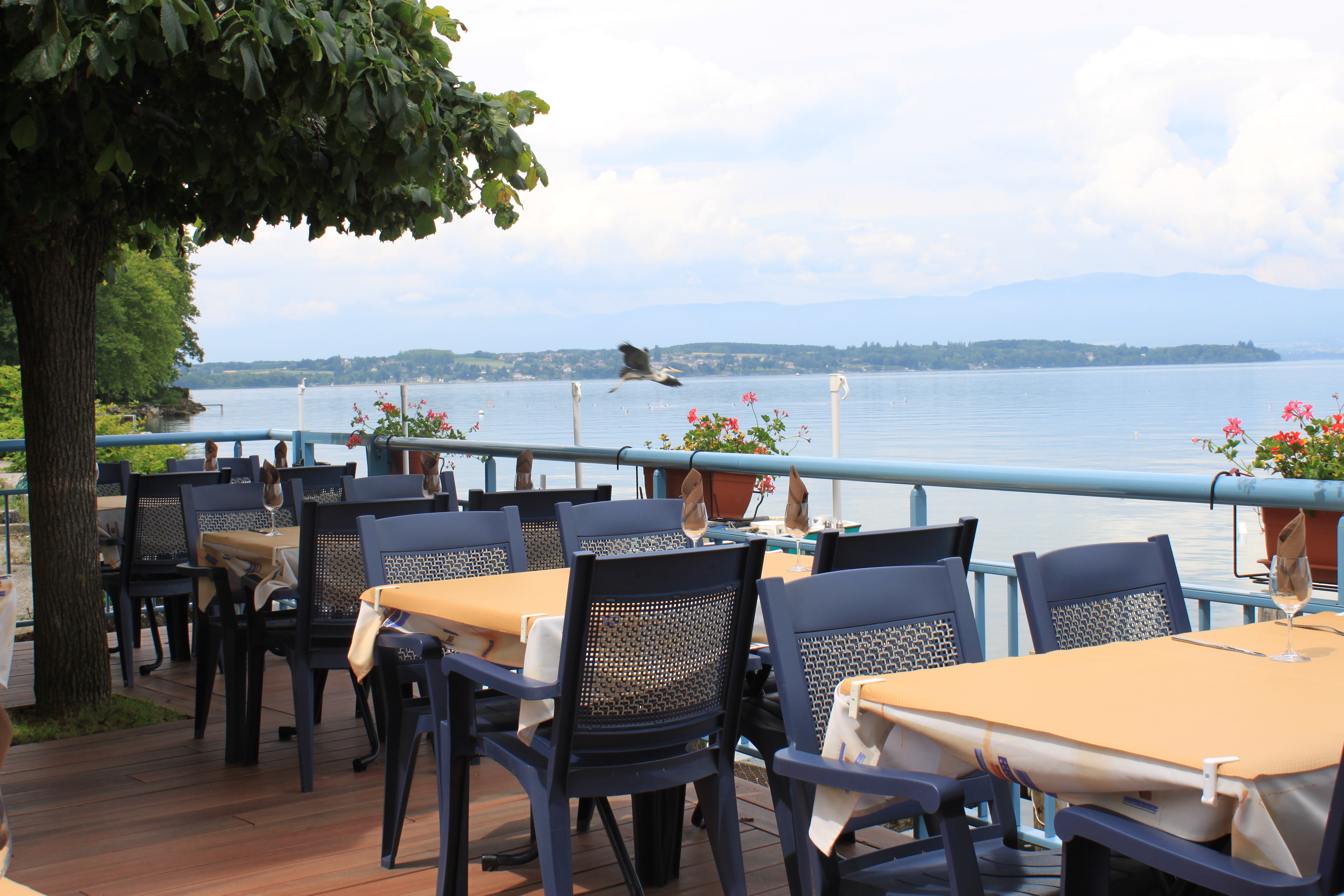 Restaurant Le Léman