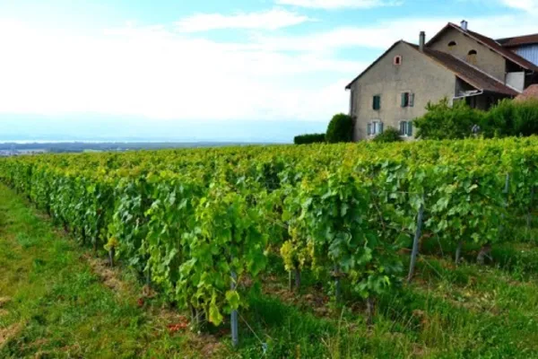 Les Chambres d'hôtes de Sylvie