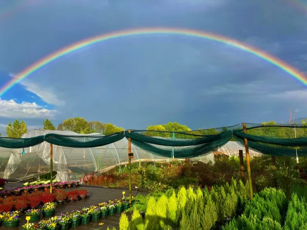 Les Jardins de Chavannex