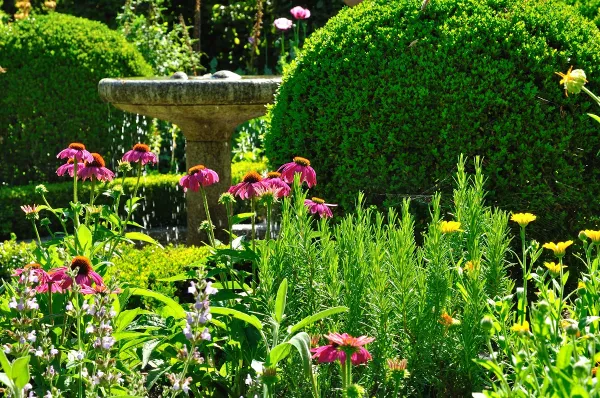 Cloître et plantes médicinales