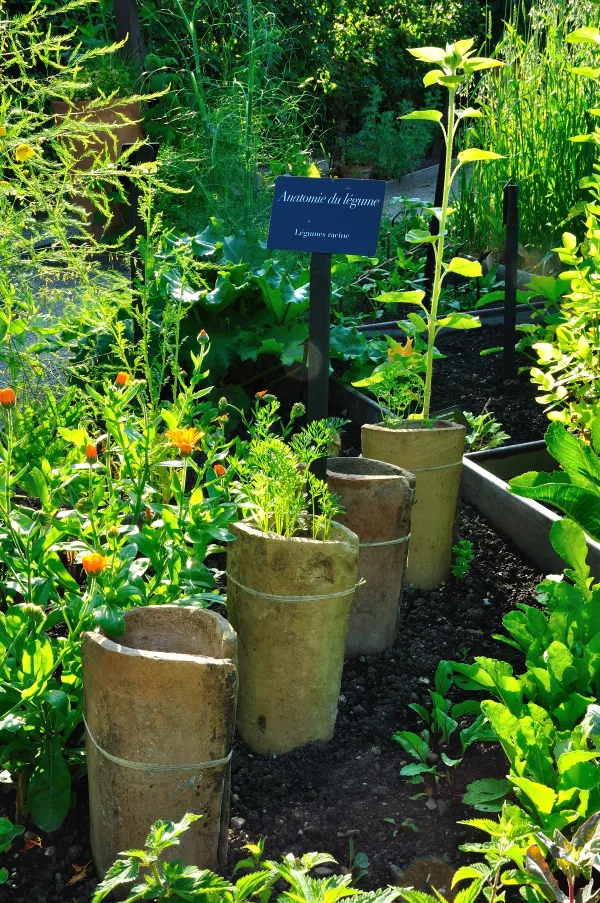 Jardin du goît