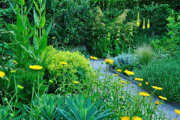 Jardin du toucher