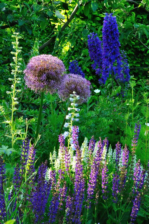 Jardin de la vue