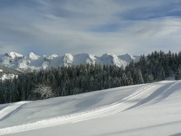 Itinéraire raquettes 26 - Le Grand-Bornand Village - Le Mont