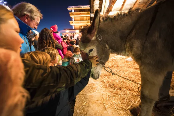 Crèche vivante pour Noel au Grand-Bornand