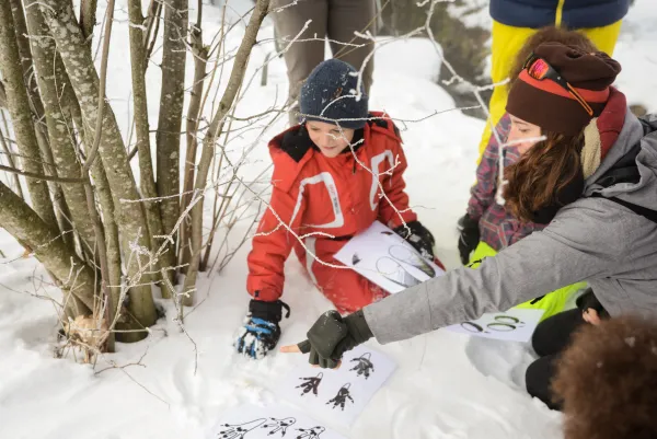 Animation famille : Traces et indices d'animaux