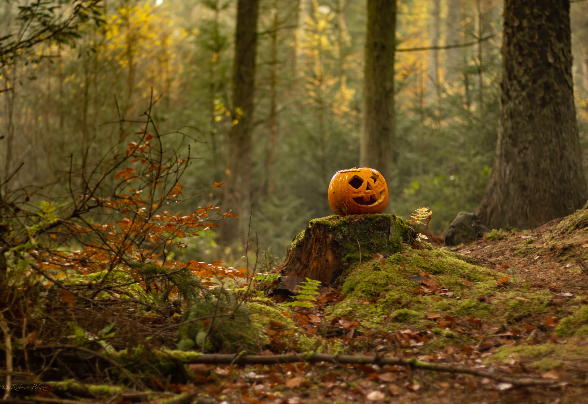 Contes d'Halloween à Présilly