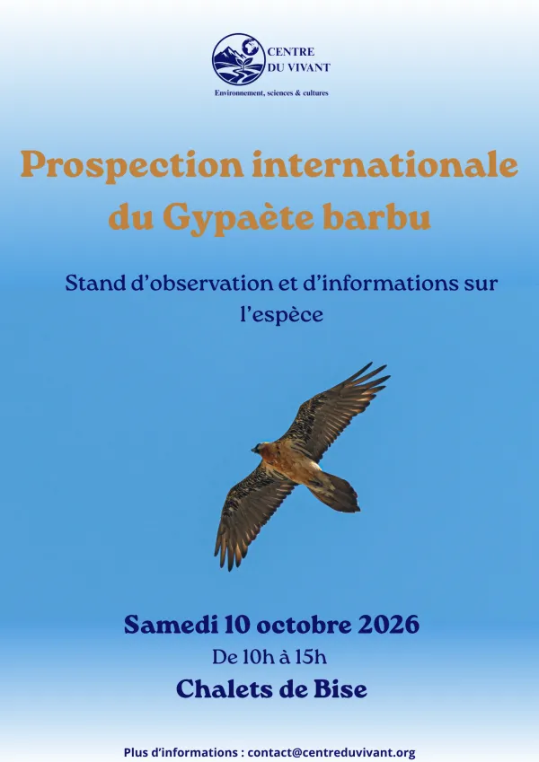 Prospection internationale du Gypaète barbu