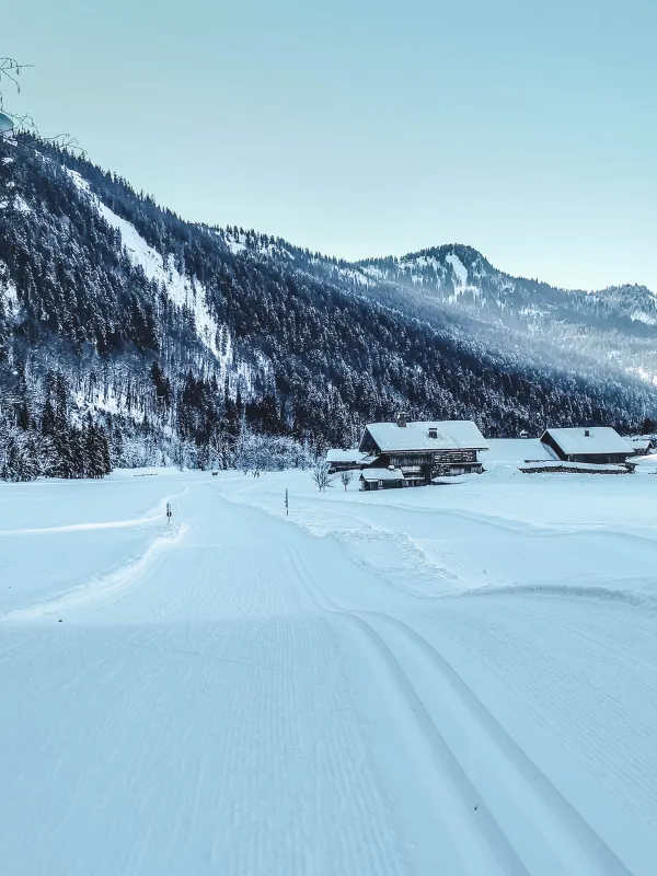 piste nordique damée