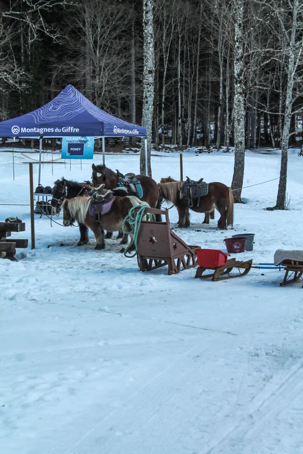 Les Hivernales du Haut-Giffre_Sixt-Fer-à-Cheval