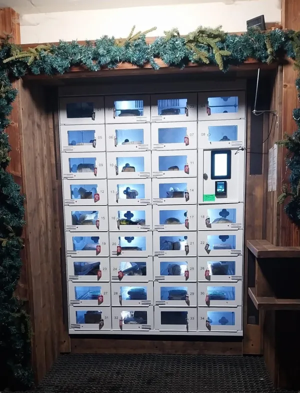 Distributeur automatique de fromages