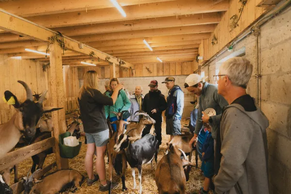 Visite de la ferme du Mourian