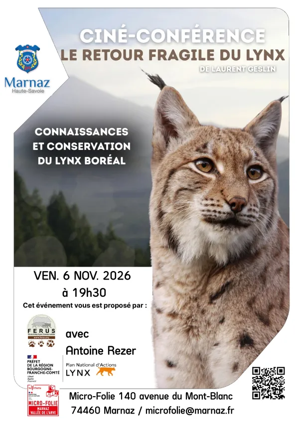 Projection-rencontre « Le fragile retour du lynx » avec Antoine Rezer