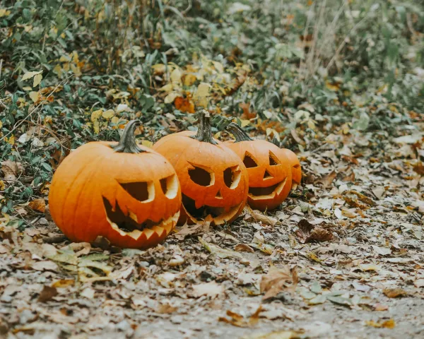 Halloween à la ferme du Petit Mont