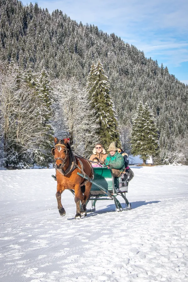 Traineau à cheval aux Contamines Montjoie