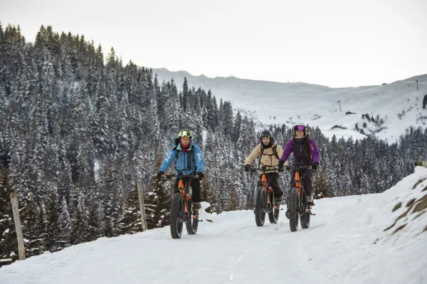 Randonnée en fat bike électrique