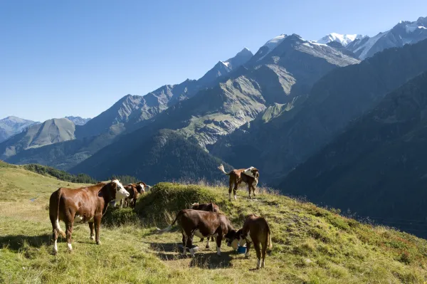 Le Col du Joly depuis le Baptieu