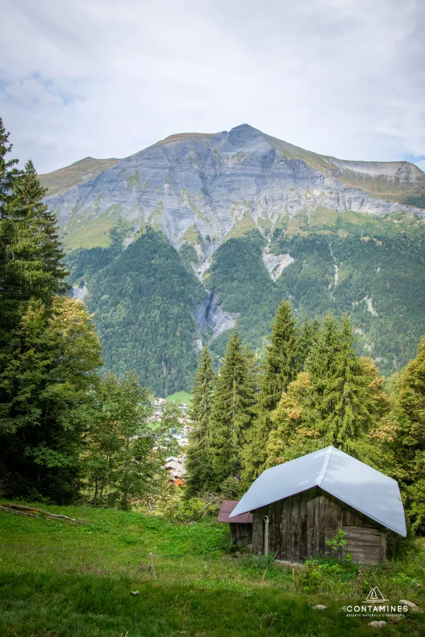 Première partie de la randonnée des chalets du Truc