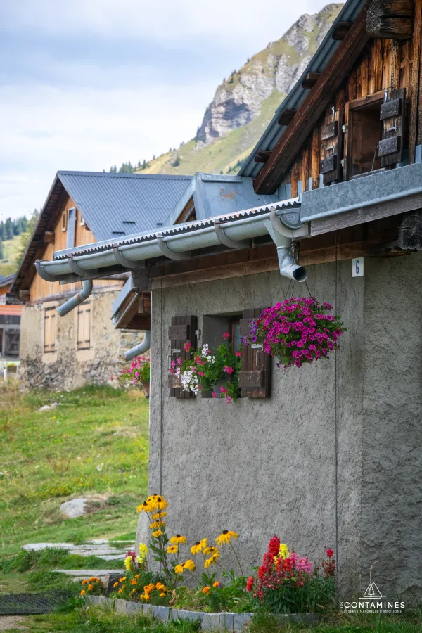 Les chalets du Truc