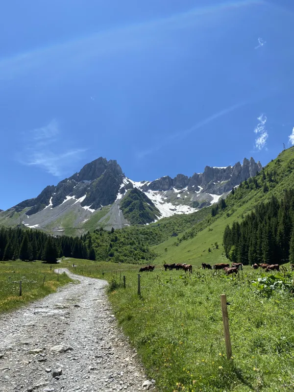 Traversée du Plat de la Rollaz avant d'arriver