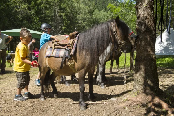 Les poneys du Pontet