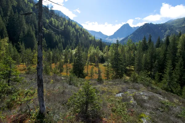 Les Tourbières de Sololieu