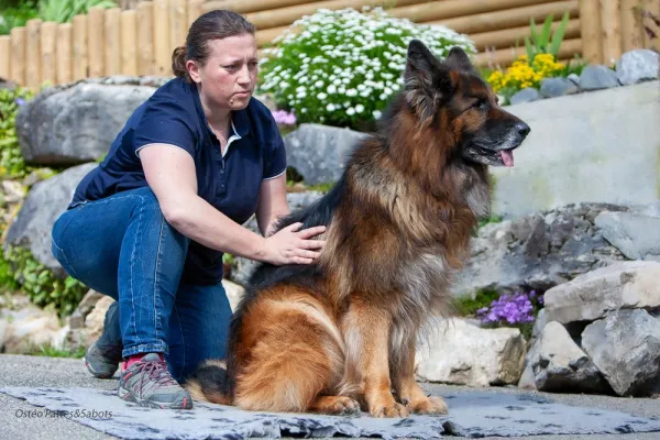 Ostéopathe animalier - Mélanie Le Roy_Les Contamines-Montjoie