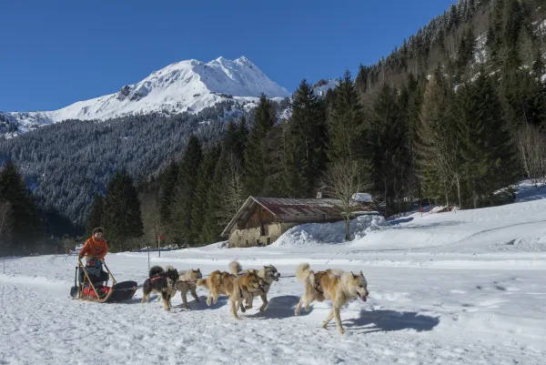 Parc du Chien Polaire